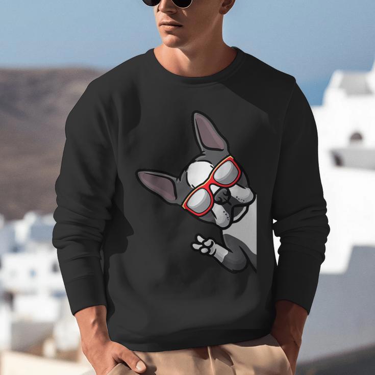 Boston Terrier Dog From Side Boston Bull Unisex Sweatshirt, funny gift