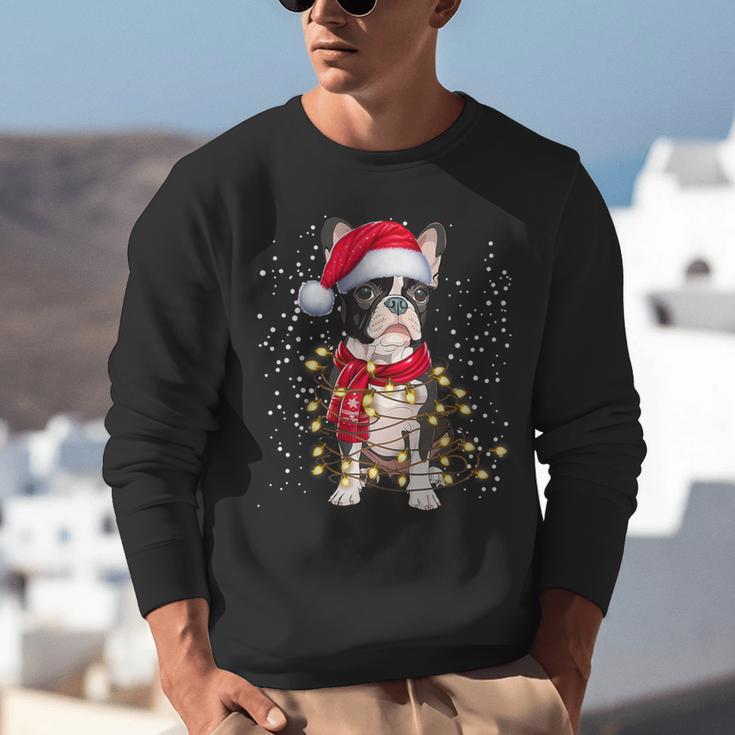 Boston Terrier Dog Ugly Christmas Dog Xmas For Men Women Kids Unisex Sweatshirt, Boston Terrier Christmas Sweatshirts, funny gift