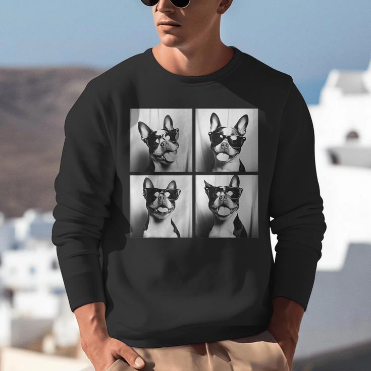 Boston Terrier Dogs With Sunglasses Photo Pets Meme Unisex Sweatshirt, funny gift