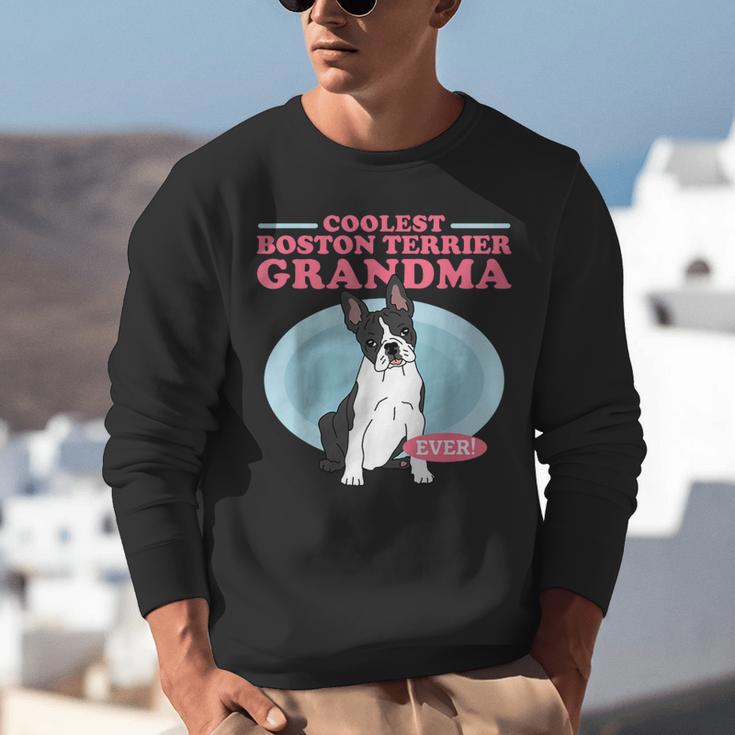 Boston Terrier Grandma Bostie Dog Owner Boston Terrier Men Women Unisex Sweatshirt, funny gift