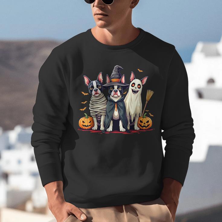 Boston Terrier Halloween Costume Mummy Witch Ghost Dog Lover For Men Women Kids Unisex Sweatshirt, Boston Terrier Ghost Sweatshirts, Boston Terrier Halloween Sweatshirts, funny gift