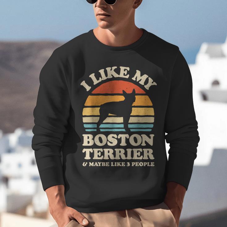 I Like My Boston Terrier And Maybe Like 3 People Dog Lover Unisex Sweatshirt, funny gift
