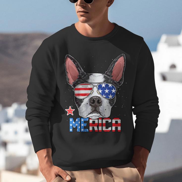Boston Terrier Merica 4th Of July T Shirt Men Boys Dog Puppy Unisex Sweatshirt, Boston Terrier 4th Of July Sweatshirts, funny gift