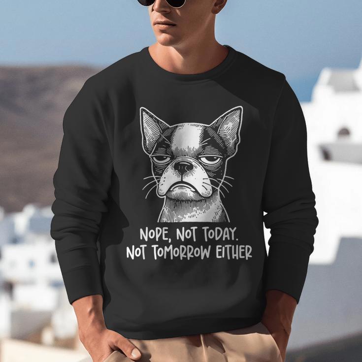 Boston Terrier Nope Not Today Not Tomorrow Either Sarcastic Unisex Sweatshirt, funny gift