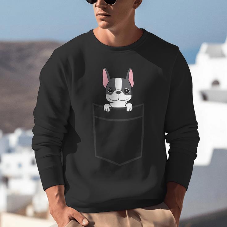 Boston Terrier In The Pocket Cute Boston Terrier Dog For Men Women Girls Kids Unisex Sweatshirt, funny gift