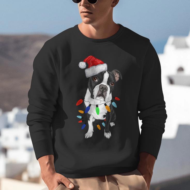 Boston Terrier Santa Christmas Lights Xmas Dog Lover Men Women Kids Unisex Sweatshirt, Boston Terrier Christmas Sweatshirts, funny gift