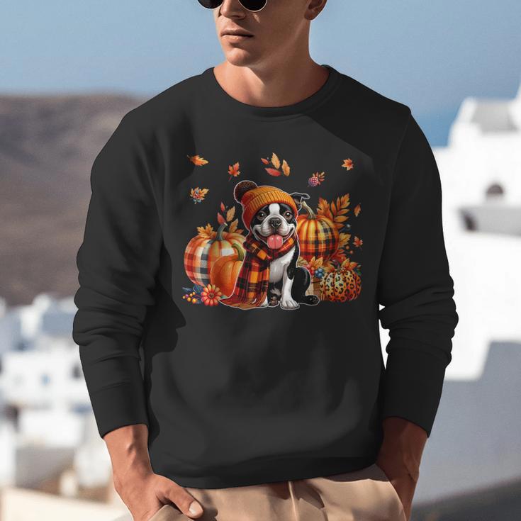 Boston Terrier Thanksgiving Leopard Pumpkins Fall Leaves Unisex Sweatshirt, Boston Terrier Thanksgiving Sweatshirts, funny gift