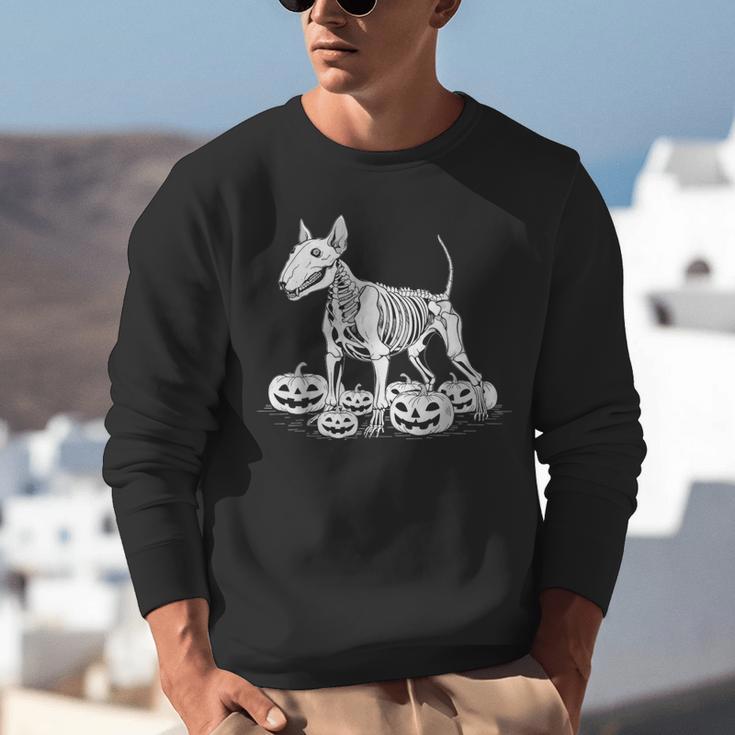 Bull Terrier Skeleton Birthday Halloween Kids Unisex Sweatshirt, funny gift