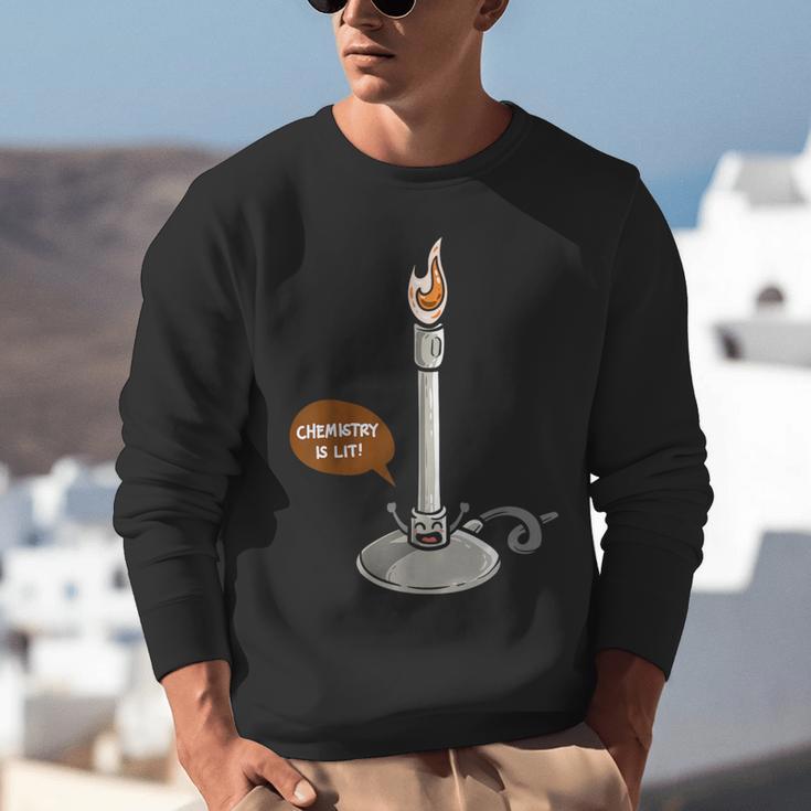 Chemistry Burner Science Lover Biology Chemistry Teacher Unisex Sweatshirt, Science Teacher Sweatshirts, funny gift