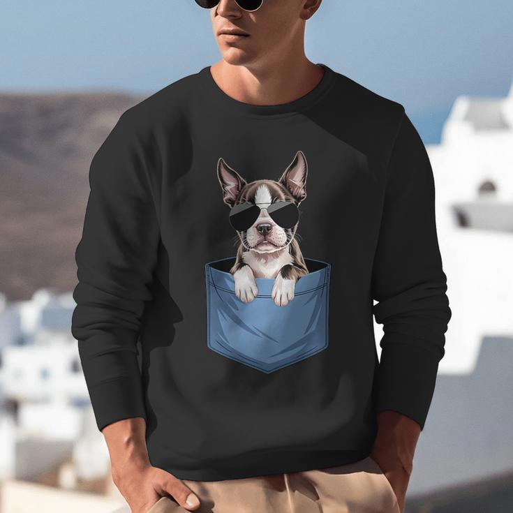 Cute Pocket Boston Terrier Lover Dog Mom Unisex Sweatshirt, Boston Terrier Mom Sweatshirts, funny gift
