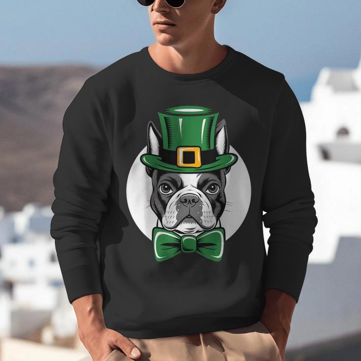 Green Boston Terrier Shamrock St Patricks Day Boston Terrier Unisex Sweatshirt, funny gift