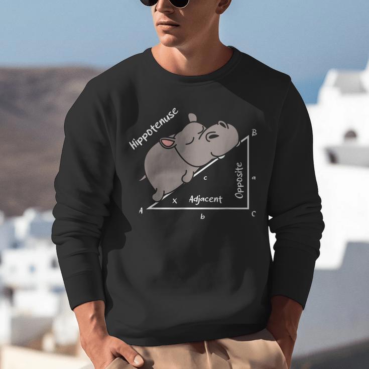 Hippotenuse Hippo Angle Function Hypotenuse Math Teacher Unisex Sweatshirt, funny gift Hippotenuse Hippo Angle Function Hypotenuse Math Teacher Unisex Sweatshirt, funny gift