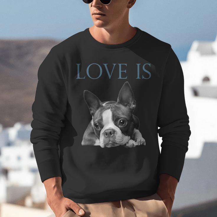 Love Is Boston Terrier Bostie Unisex Sweatshirt, funny gift