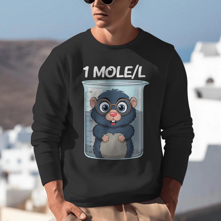 Mole Chemistry Chemist Student Science Teacher Unisex Sweatshirt, Science Teacher Sweatshirts, funny gift