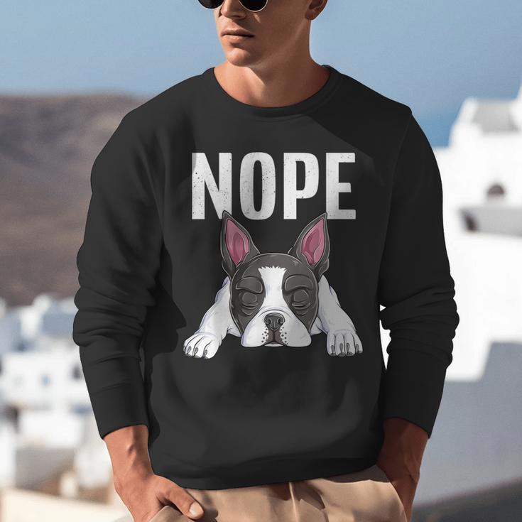 Nope Boston Terrier Puppy Dog Bostie Lover Men Women Girls Kids Unisex Sweatshirt, funny gift