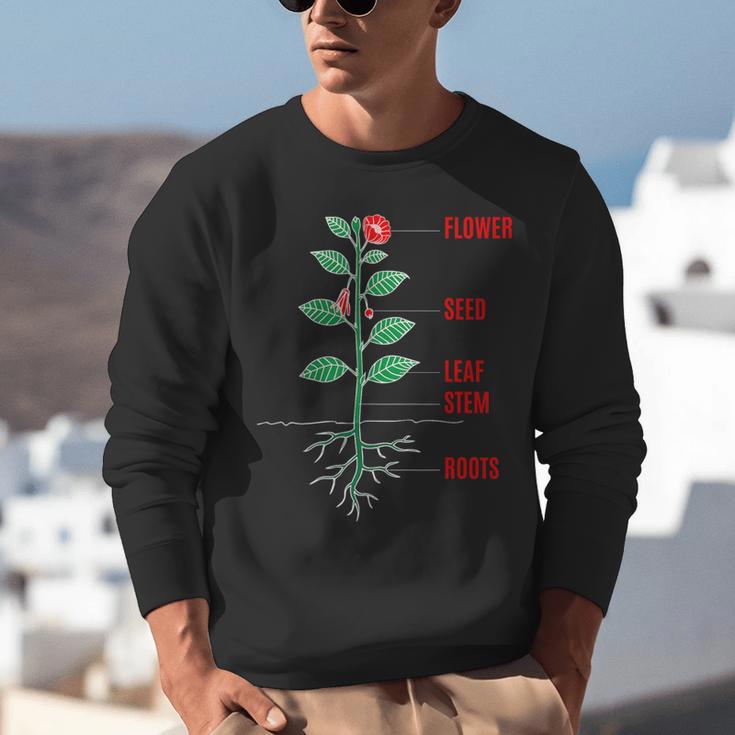 Parts Of a Plant Science For Teachers Kids And Students Unisex Sweatshirt, Science Teacher Sweatshirts, funny gift