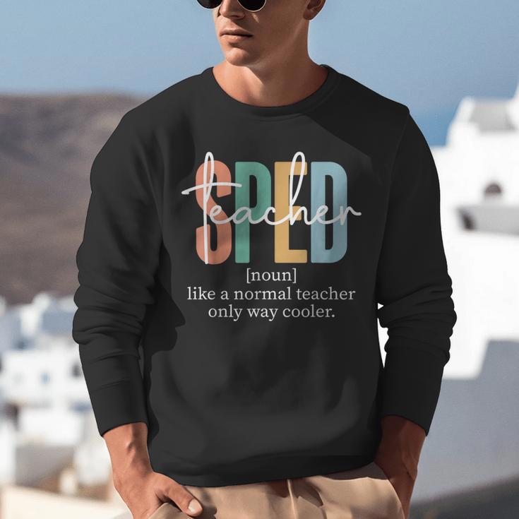Special Education Sped Teacher Definition For Women & Men Unisex Sweatshirt, funny gift