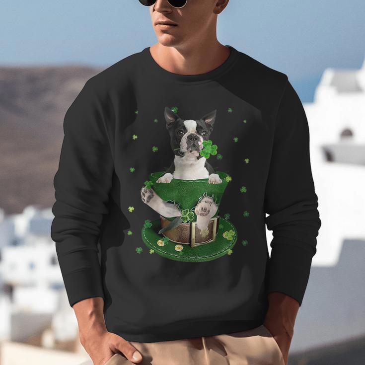 St Patrick's Day Leprechaun Boston Terrier Dog Shamrock For Men Women Kids Unisex Sweatshirt, funny gift