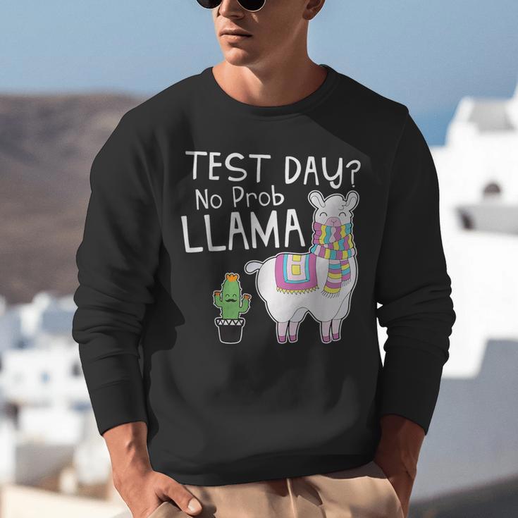 Teachers Testing Day Test Day No Prob Llama Teacher Unisex Sweatshirt, funny gift Teachers Testing Day Test Day No Prob Llama Teacher Unisex Sweatshirt, funny gift