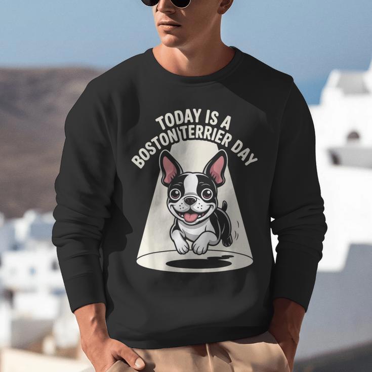 Today Is A Boston Terrier Day Cute Dog Lover Cartoon Unisex Sweatshirt, funny gift