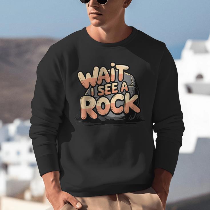 Wait I See A Rock Geology Teacher Unisex Sweatshirt, funny gift