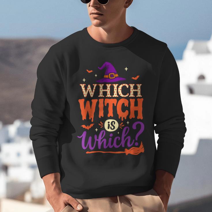 Which Witch Is Which Halloween For Women Men English Teacher Unisex Sweatshirt, English Teacher Sweatshirts, funny gift