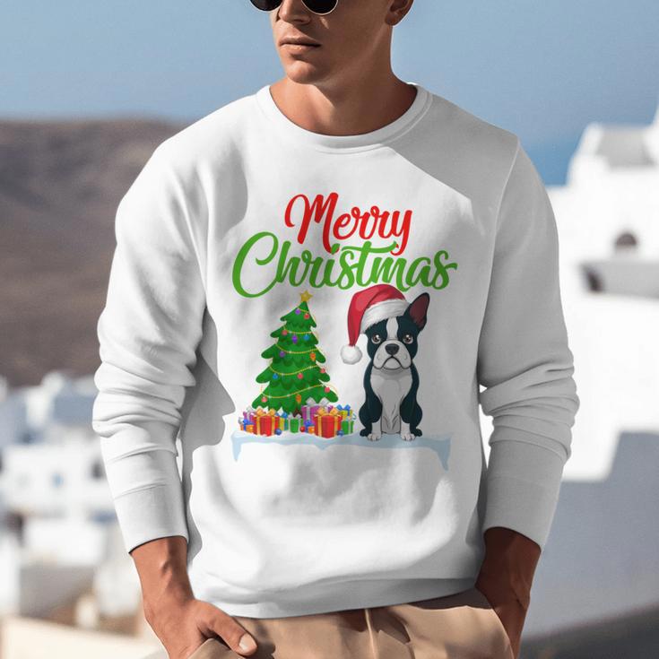 Boston Terrier Christmas Tree Lights Xmas Dog Lover Unisex Sweatshirt, Boston Terrier Christmas Sweatshirts, funny gift