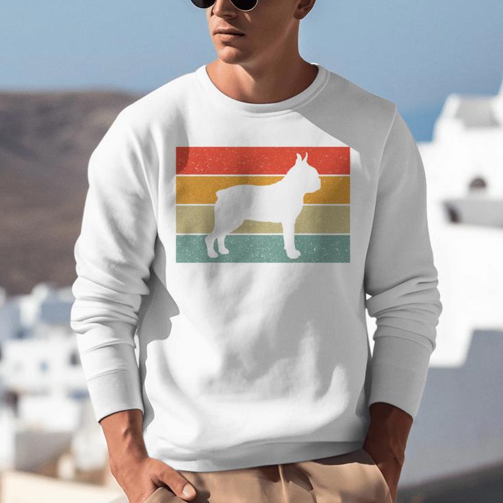 Boston Terrier Dog Lover Retro Vintage Cool For Dog Owner Unisex Sweatshirt, funny gift