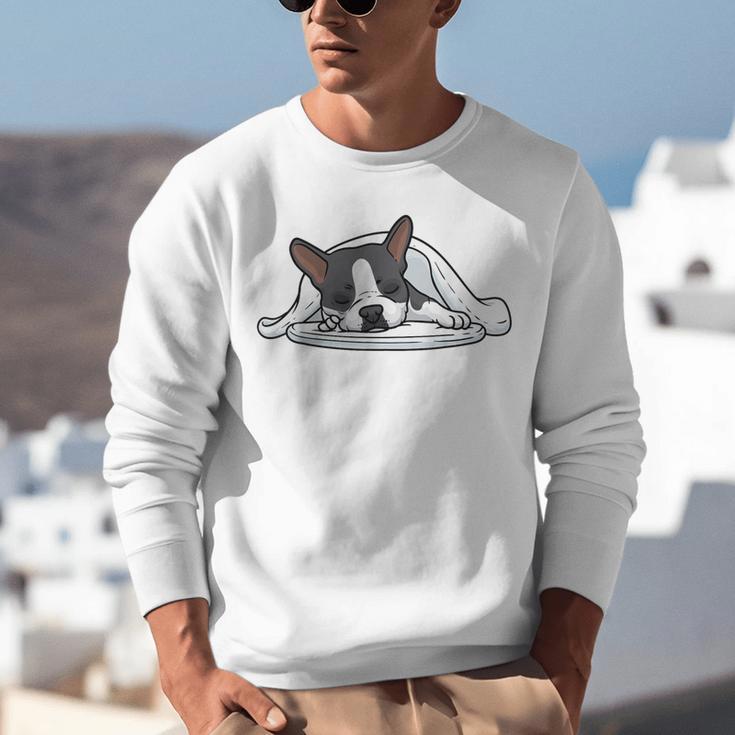 Boston Terrier Dog Official Sleeping Men Women Girls Kids Unisex Sweatshirt, funny gift