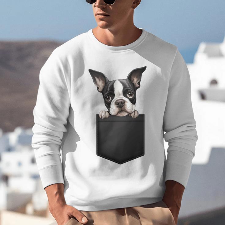 Boston Terrier Dog Puppy Dog In Pocket Cute Pet Lover Unisex Sweatshirt, funny gift