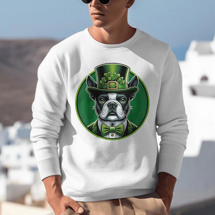 Boston Terrier Dog St Patricks Day Irish Pet Lover Men Women Kids Unisex Sweatshirt, funny gift