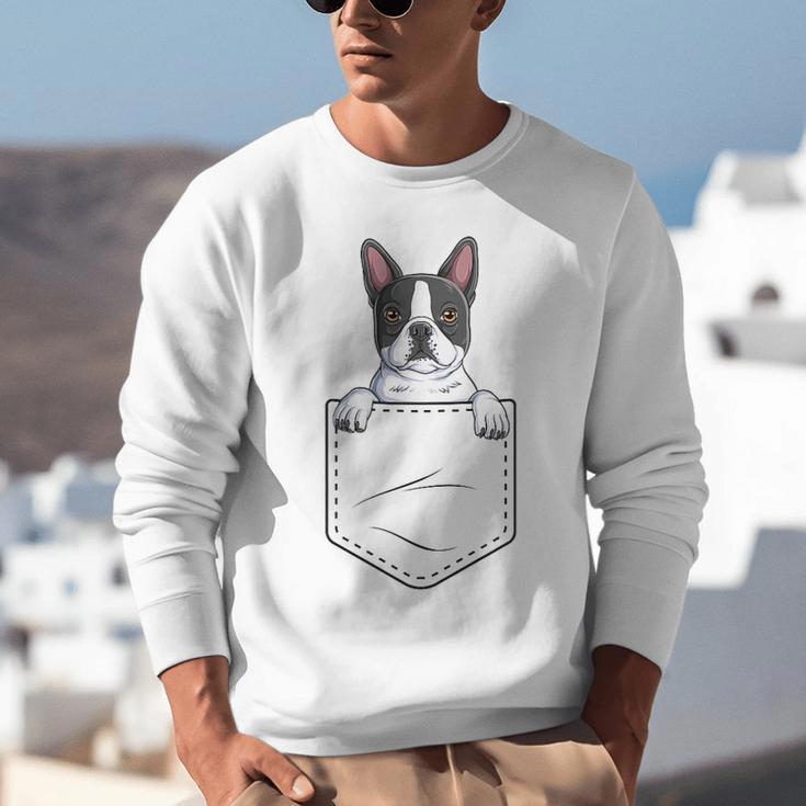 Boston Terrier In The Pocket Cute Boston Terrier Dog Lovers Men Women Girls Kids Unisex Sweatshirt, funny gift