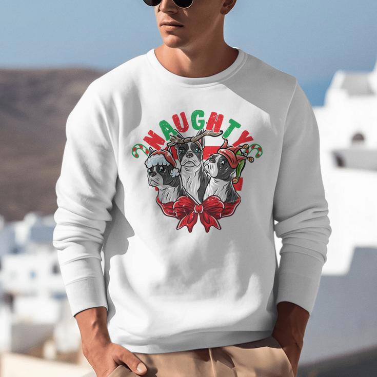 Boston Terrier Santa Claus Elf Reindeer Christmas Dog X-Mas Unisex Sweatshirt, Boston Terrier Christmas Sweatshirts, funny gift