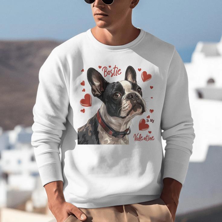 Boston Terrier Is My Valentine Cute Pet Dog Owner Valentine Unisex Sweatshirt, funny gift