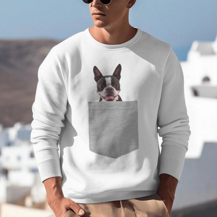 Dog In Your Pocket Boston Terrier For Men Women Girls Kids Unisex Sweatshirt, funny gift
