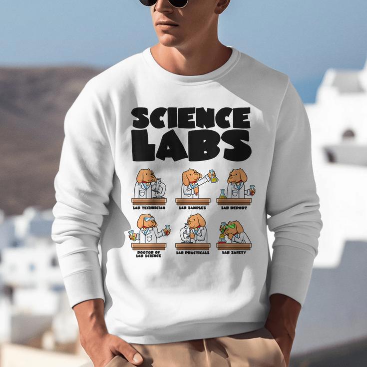 Labrador Retriever Science Labs Dog Lover Teacher Unisex Sweatshirt, Science Teacher Sweatshirts, funny gift