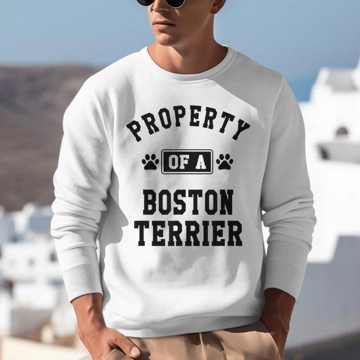 Property Of Boston Terrier Boston Terrier Shirt Unisex Sweatshirt, funny gift