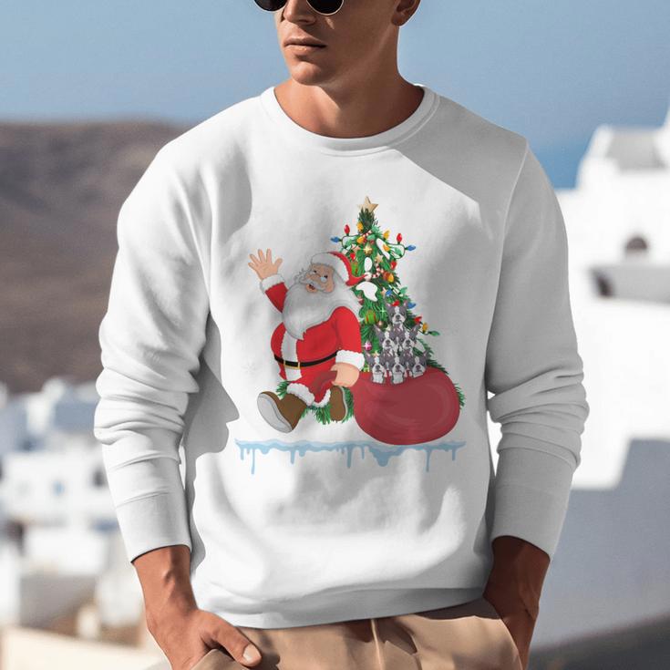 Santa Ugly Christmas Tree Lights Boston Terrier Dog Lover Unisex Sweatshirt, Boston Terrier Christmas Sweatshirts, funny gift