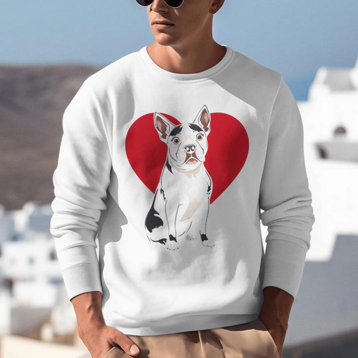 Valentine's Day Boston Terrier Lover Unisex Sweatshirt, funny gift