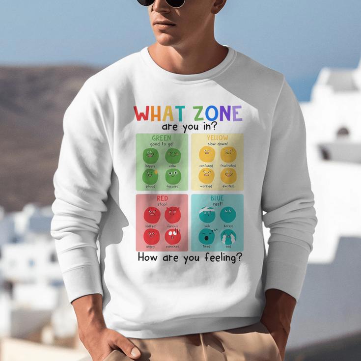 What Zone Are You In How Are You Feeling Teacher Unisex Sweatshirt, funny gift What Zone Are You In How Are You Feeling Teacher Unisex Sweatshirt, funny gift