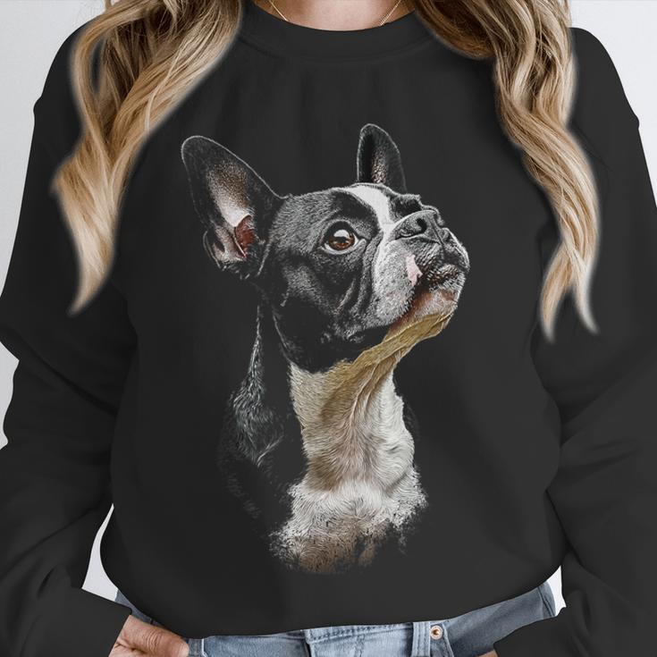 Boston Terrier Dog Graphic Pet Art Boston Terrier For Men Women Kids Unisex Sweatshirt, novelty gifts, funny gifts