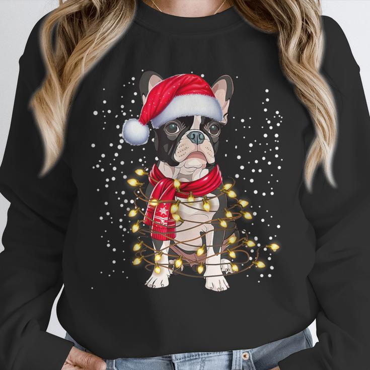 Boston Terrier Dog Ugly Christmas Dog Xmas For Men Women Kids Unisex Sweatshirt, novelty gifts, funny gifts