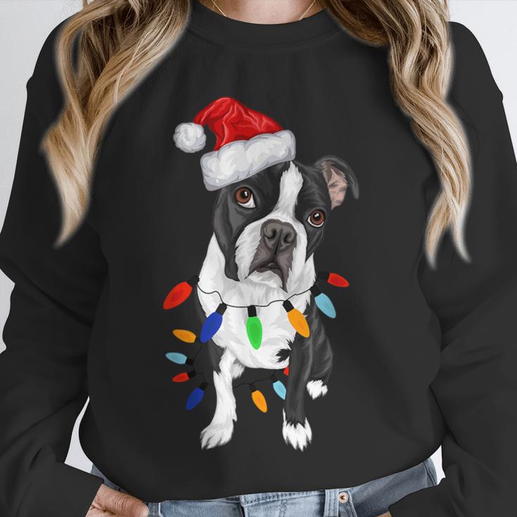 Boston Terrier Santa Christmas Lights Xmas Dog Lover Men Women Kids Unisex Sweatshirt, novelty gifts, funny gifts