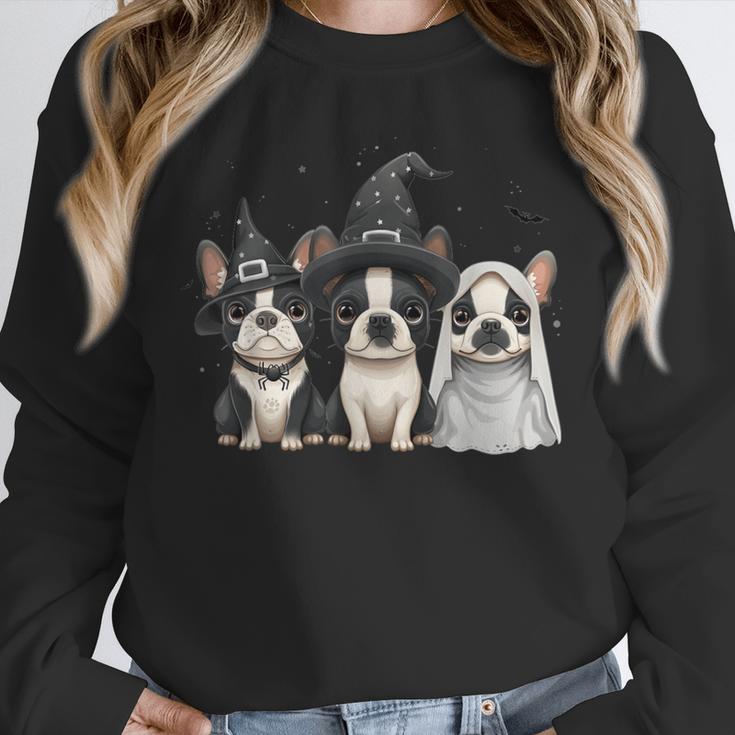 Cute Halloween Boston Terrier Dogs Witch Hat Ghost Dog For Men Women Kids Unisex Sweatshirt, novelty gifts, funny gifts