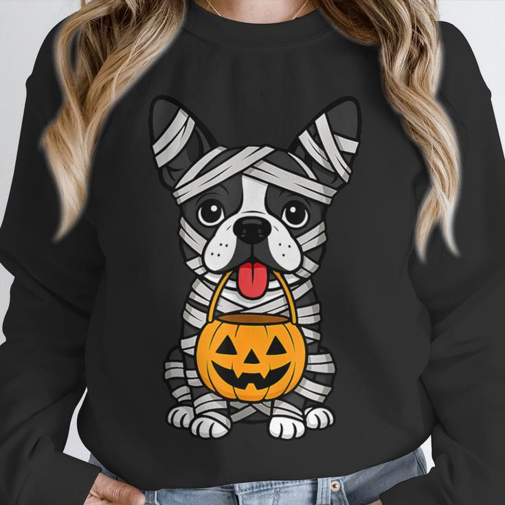 Halloween Dog Boston Terrier Mummy Costume Men Women Kids Unisex Sweatshirt, novelty gifts, funny gifts