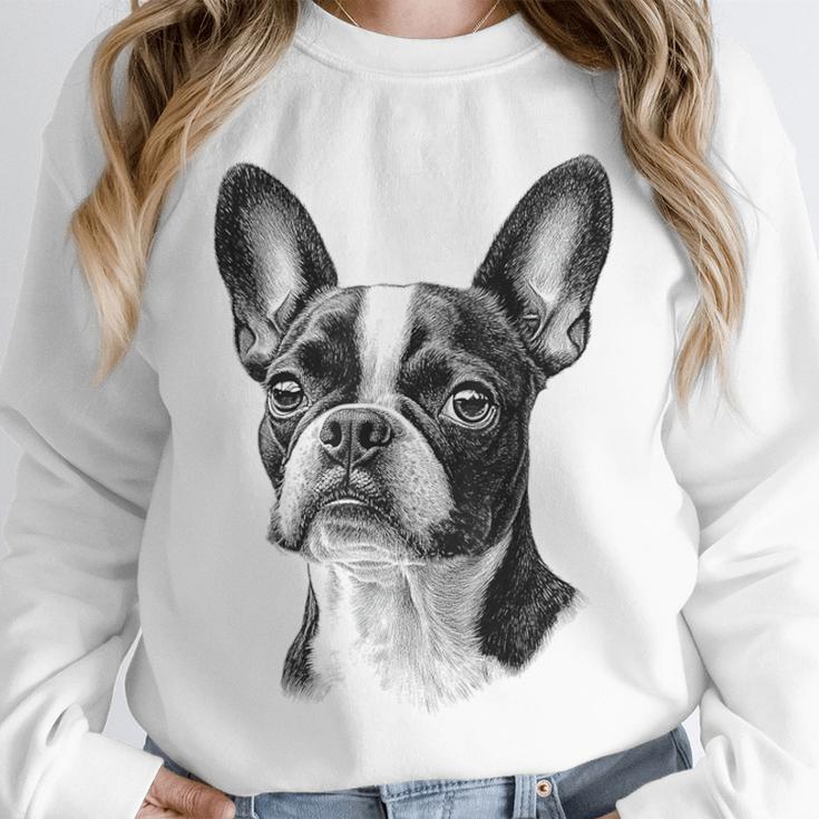 Boston Terrier Dog Motif Pet Illustration Boston Terrier For Men Women Kids Unisex Sweatshirt, novelty gifts, funny gifts