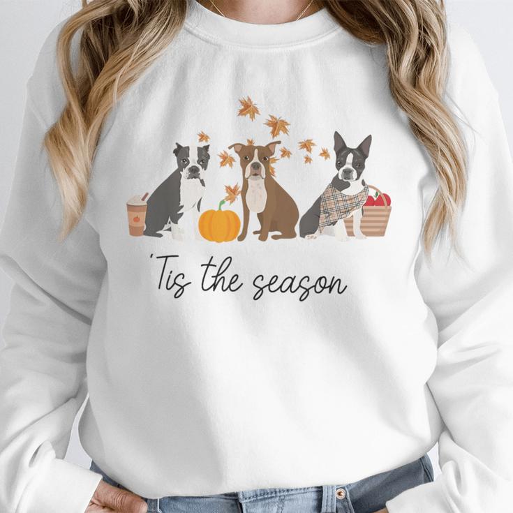 Boston Terrier Fall Pumpkin Tis The Season Autumn Women Unisex Sweatshirt, novelty gifts, funny gifts