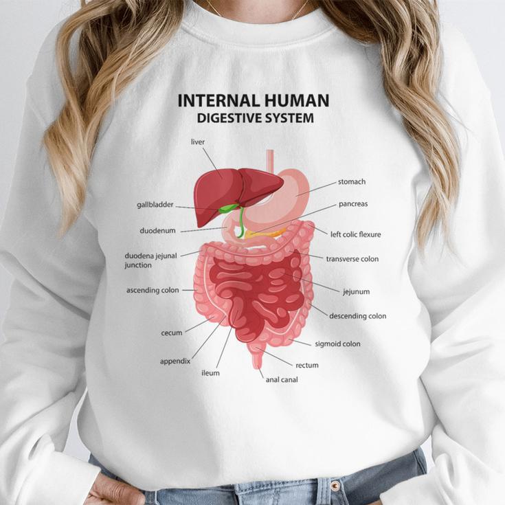 Digestive System Anatomy Anatomical Biology Teacher Men Women Unisex Sweatshirt, novelty gifts, funny gifts Digestive System Anatomy Anatomical Biology Teacher Men Women Unisex Sweatshirt, novelty gifts, funny gifts