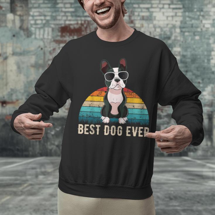 Boston Terrier Boston-Bulldog For Men Women Girls Kids Unisex Sweatshirt, gift for family, gift for coworker