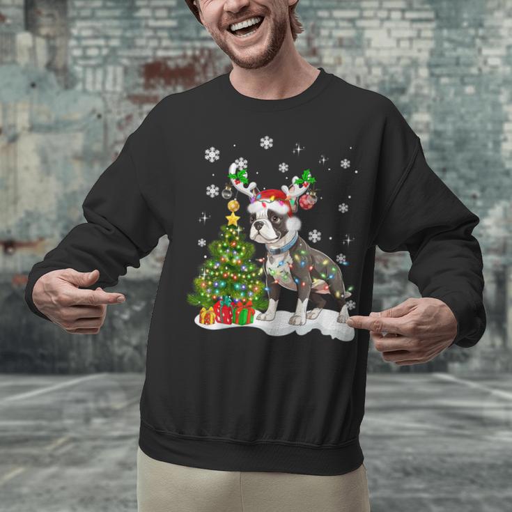 Boston Terrier Christmas Tree Lights Santa Hat Unisex Sweatshirt, Boston Terrier Christmas Sweatshirts, gift for family, gift for coworker